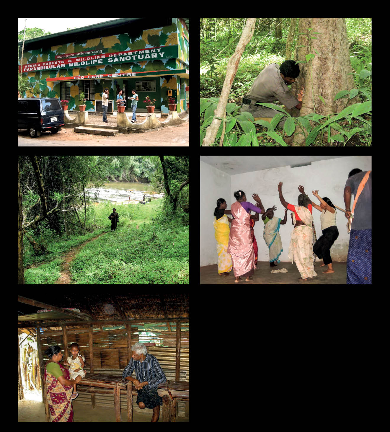Parambikulam: Forest dwellers in charge